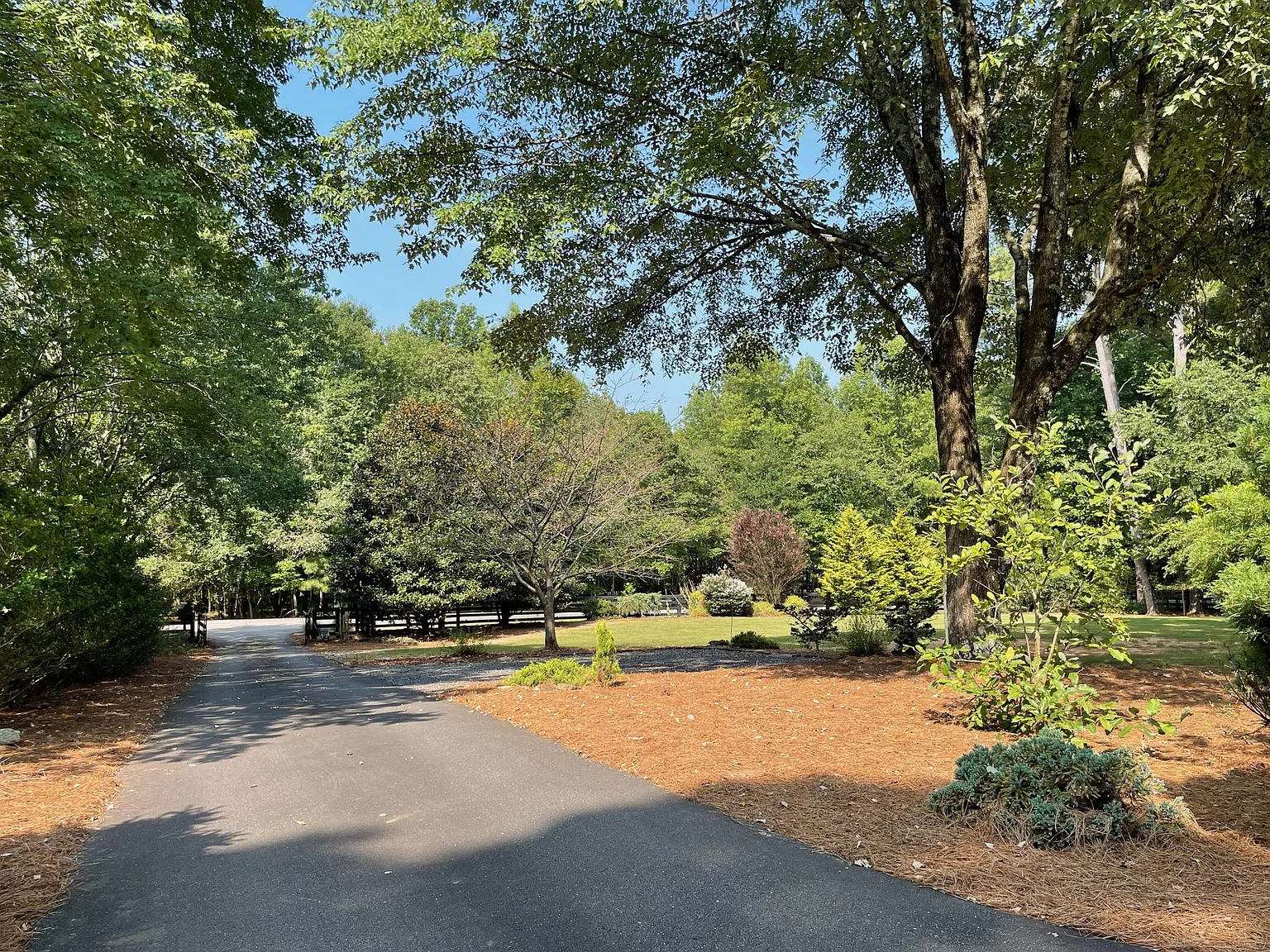 4 bed, 2380 sqft, $3,200 — Photo 2