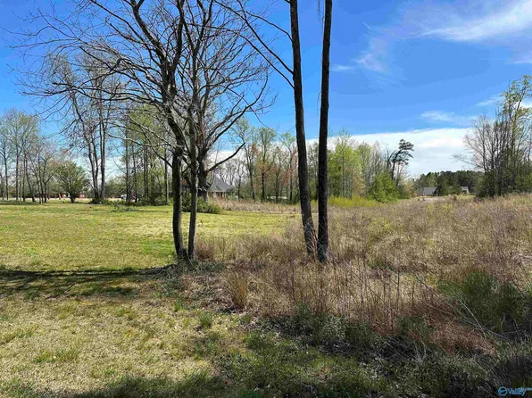 1 Eddy Scant City Rd NE, Arab, AL 35016