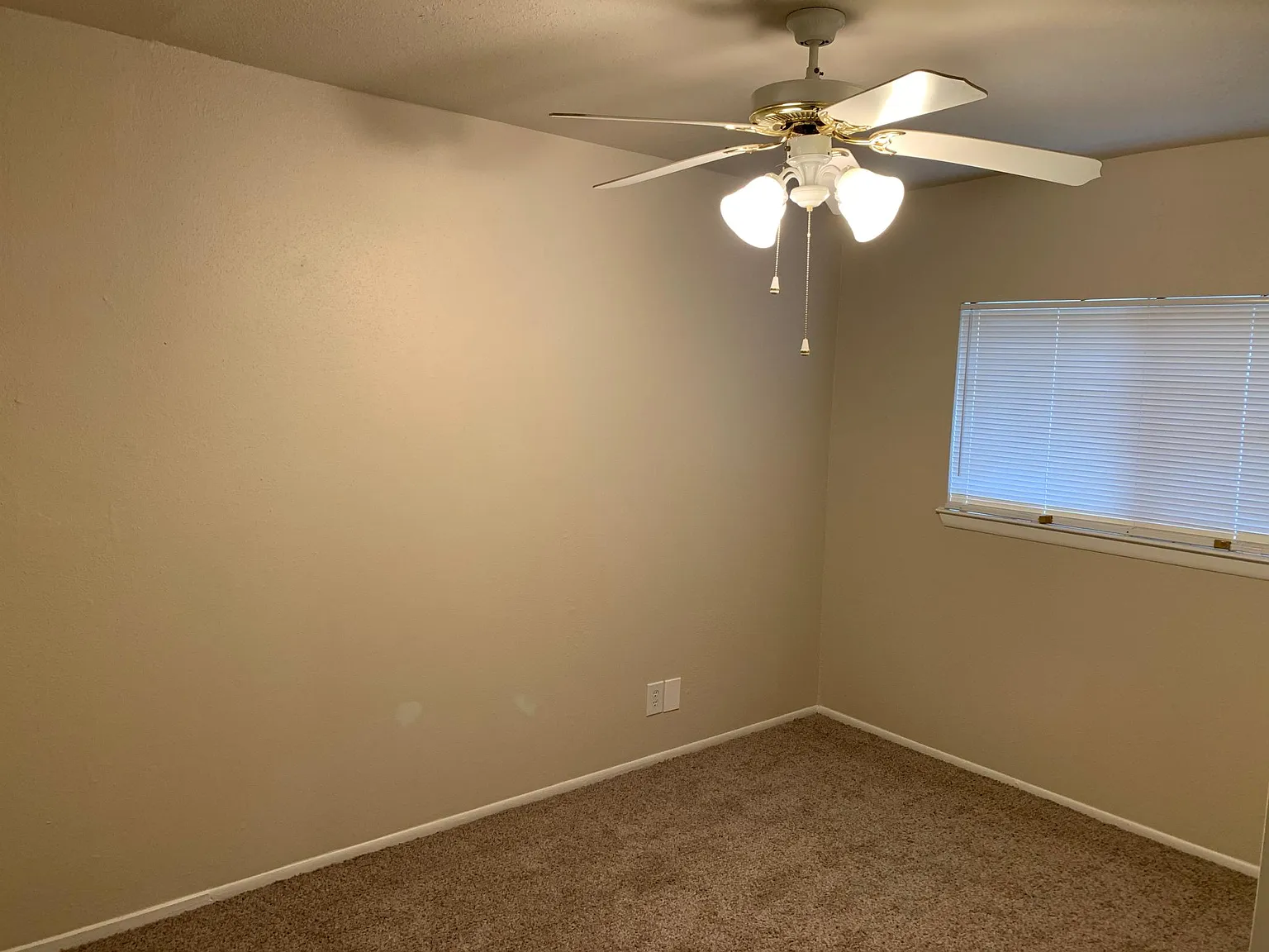 10026 Amber Field Drive — Photo 4