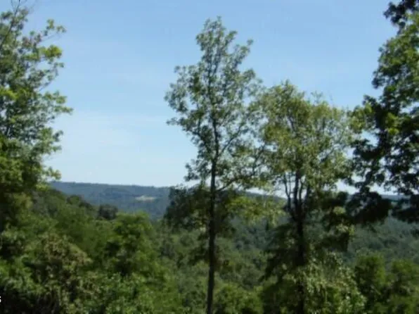 7 Rockfish Ln, Hilham, TN 38568