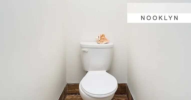 Rented by Nooklyn NYC LLC | media 11