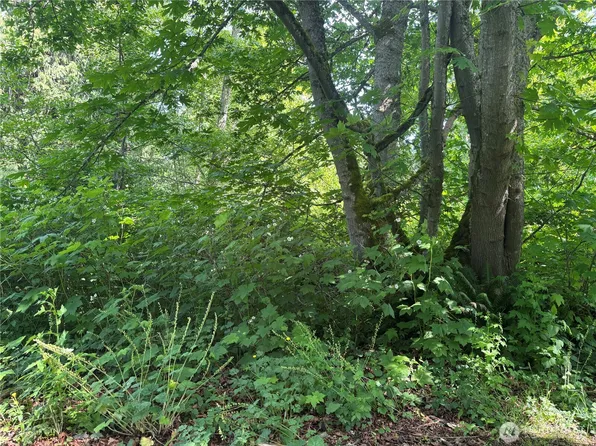 10 M Olympic Drive, Hat Island, WA 98206