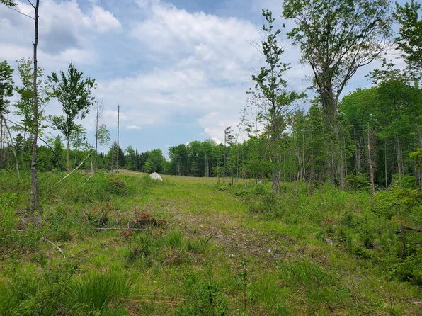 Lot 6-3 South Harmony Road, Athens, ME 04912