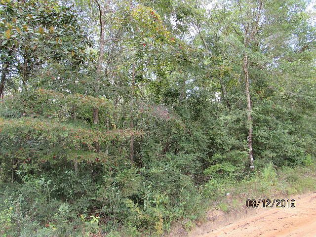 2nd image of 0 Grant Rd