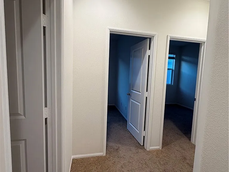7366 Solstice Pl — Photo 20