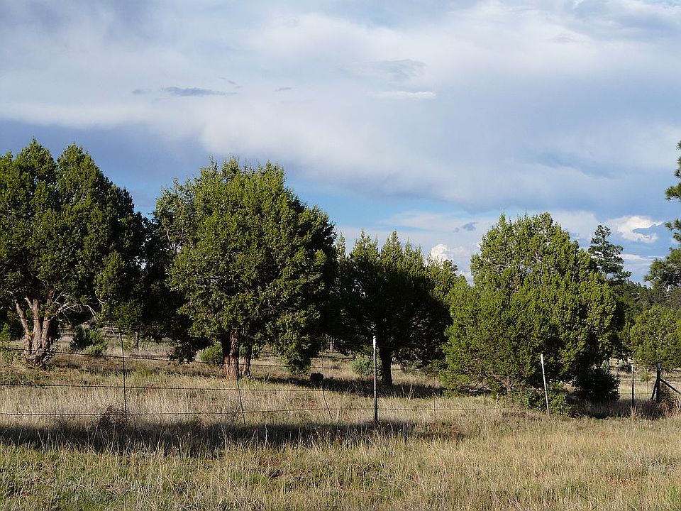 Photo of the Land