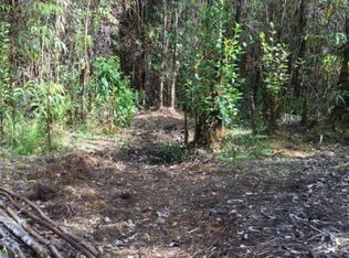 2 Road Ao, Mountain View, HI 96771