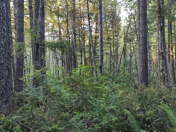 3000 Low Divide Rd, Crescent City, CA 95531