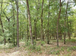 1320 W Emerson Pl, Citrus Springs, FL 34434