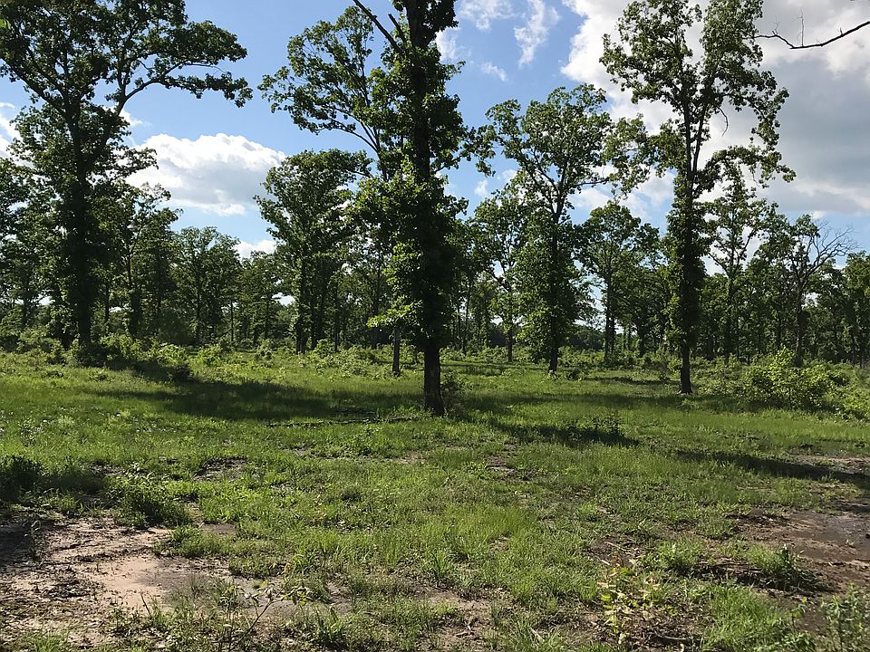 2nd image of 3053 Fm 196 N