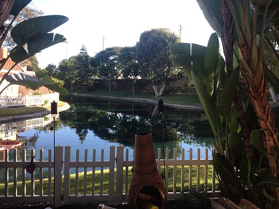 View from back Patio