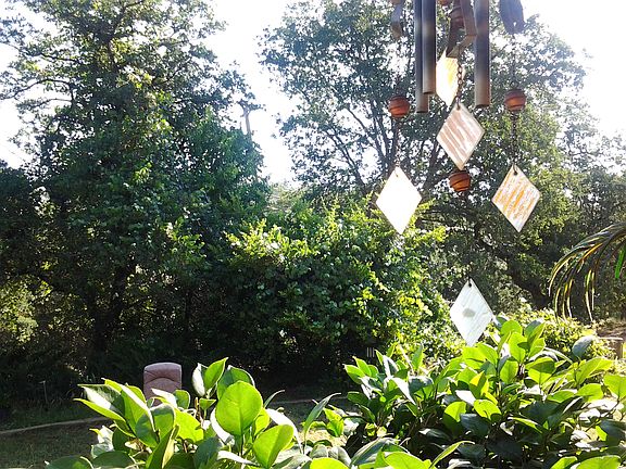  View from front deck