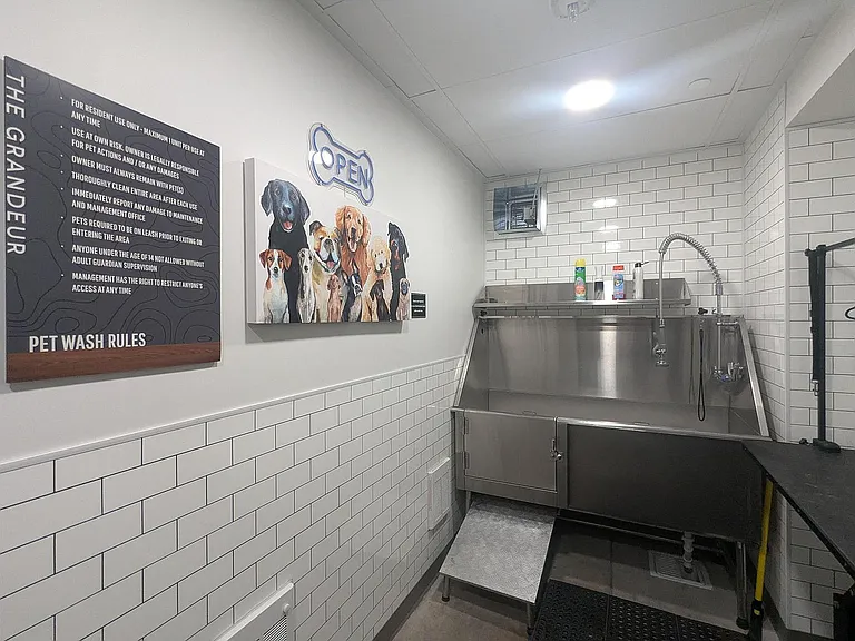P1 Dog Spa 10