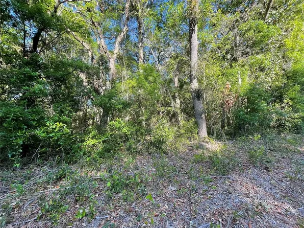 LOT 3 NW 82nd Ct Lot 3, Chiefland, FL 32626