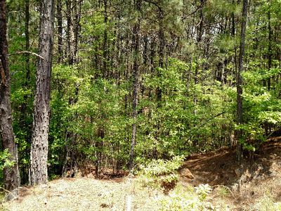 24-26 Highland Woods Rd, Copperhill, TN, 37317