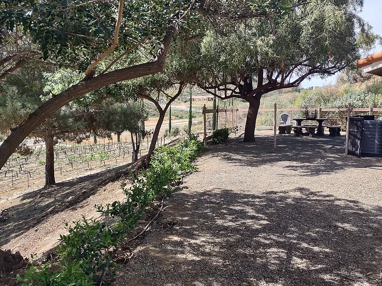 37850 De Portola Rd — Photo 60