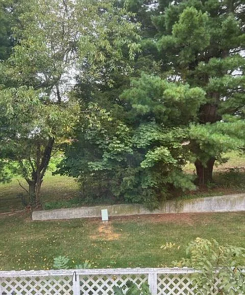 Back yard space