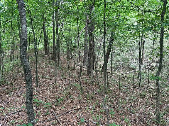 5th image of 0 W Woodson Lateral Rd