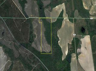 1602 N County Line Rd, Rebecca, GA 31783