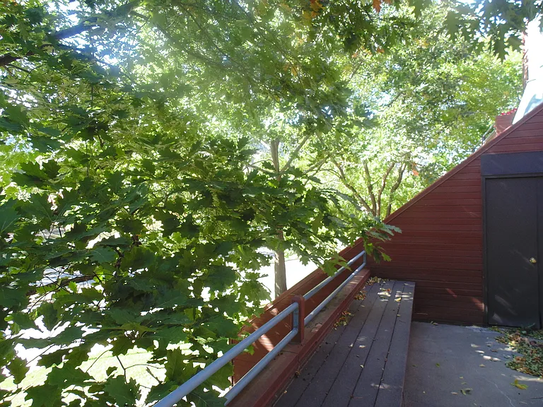 812 Walnut St #C — Photo 14