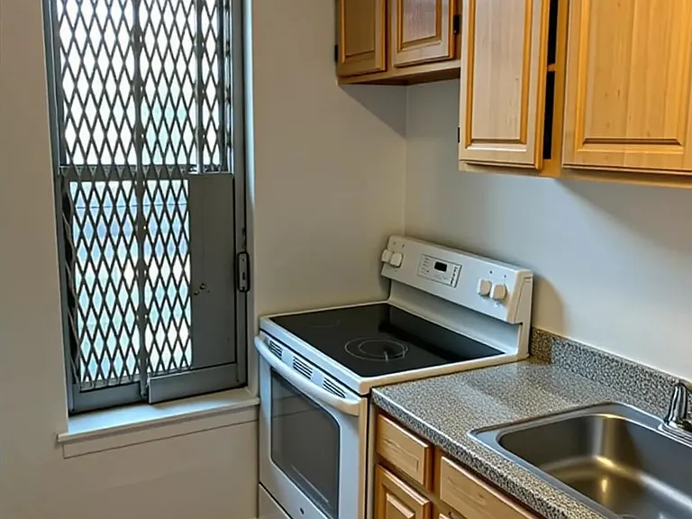 585 E 21st St #3J — Photo 6