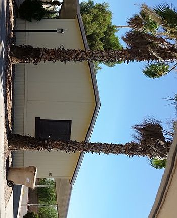 2nd image of 19602 N 32nd St Lot 80