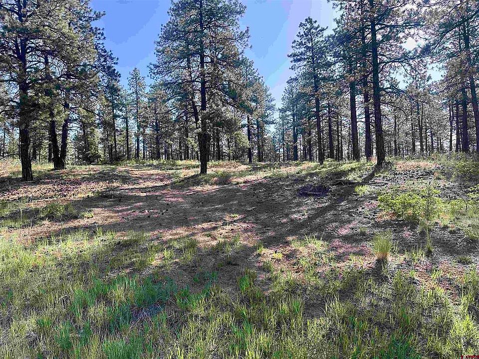 1st image of 782 Hawks Meadow Drive
