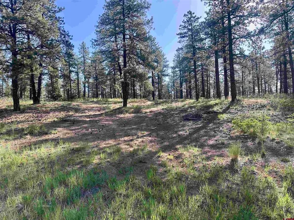782 Hawks Meadow Drive, Bayfield, CO 81122