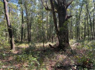 102 Azalea Ln, Hawthorne, FL 32640