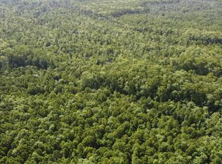 Vicknair Rd, Maurepas, LA 70449