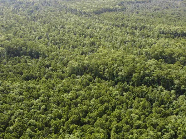 Vicknair Rd, Maurepas, LA 70449