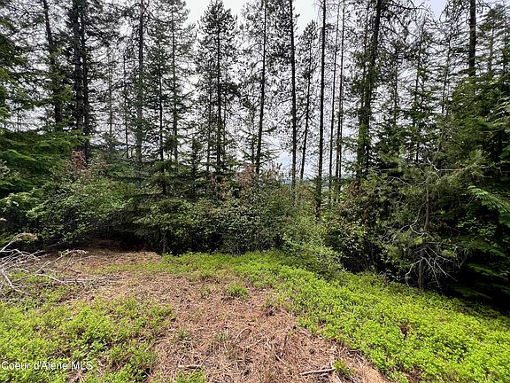 5th image of 2505 Alpine Dr