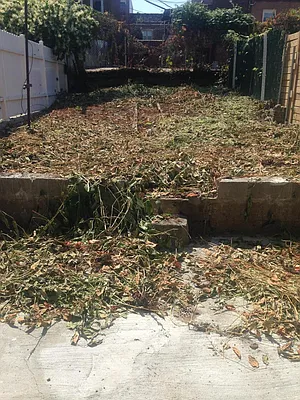 Rented by RS Bracha | media 10