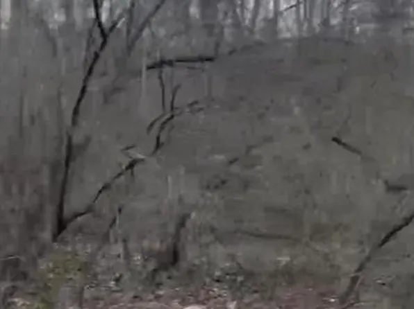 308 Pawnee, Irondale, MO 63648