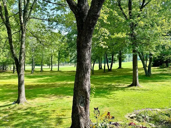 214 Needlepine Lane #1001, Sapphire, NC 28774