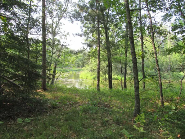 Lots 5 11 Front St, Pine River, MN 56474