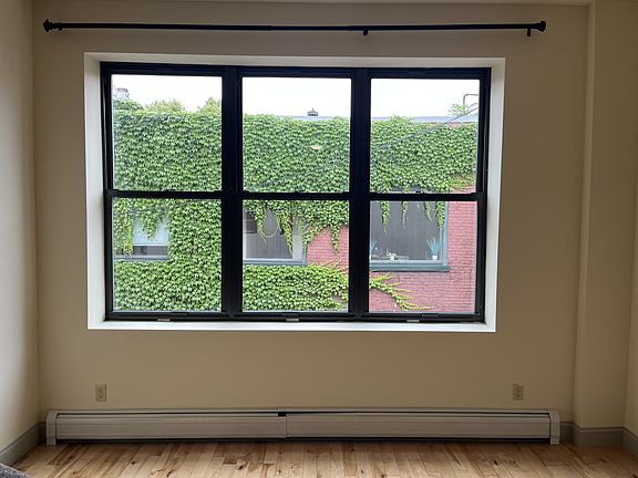 Living Room windows view