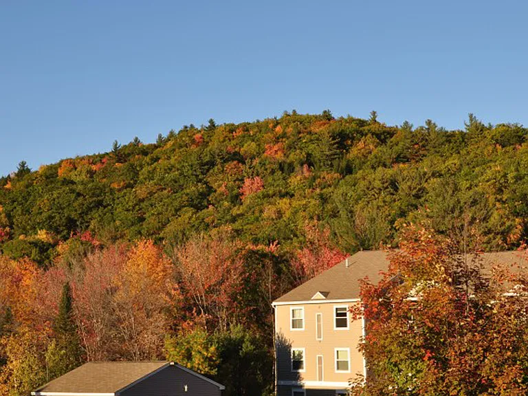 Stone Farm — Photo 19