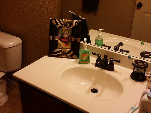 3rd image of 1115 Bittercress Dr