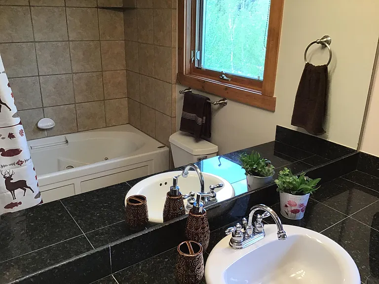 master bath with jet tub