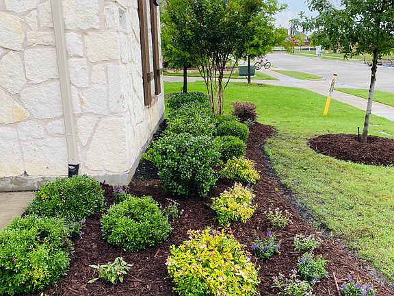 Front yard