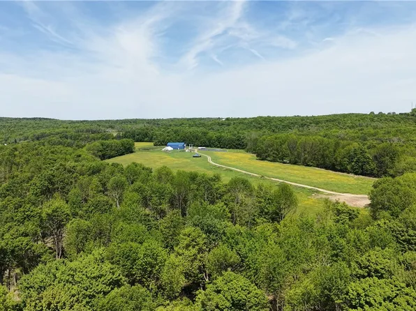 362 Brown Gale Rd Lot 4, Mc Donough, NY 13801