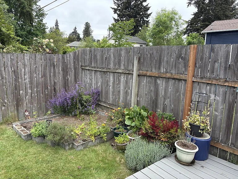 garden area