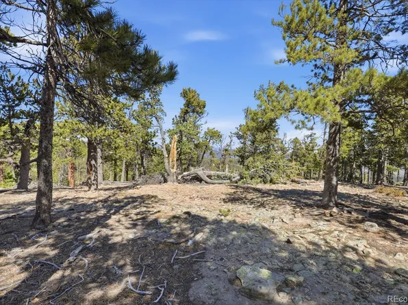 33149 Janelle Circle, Golden, CO 80403