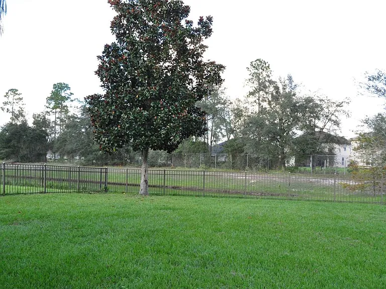 Backyard view