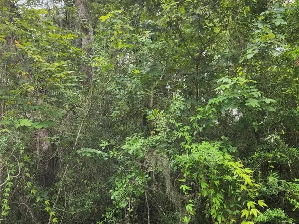 7 5th St, Pt Washington, FL 32459