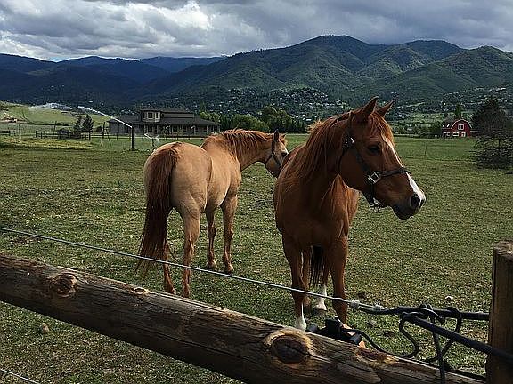 Fenced property with barn