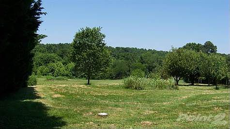 picturesque back yard
