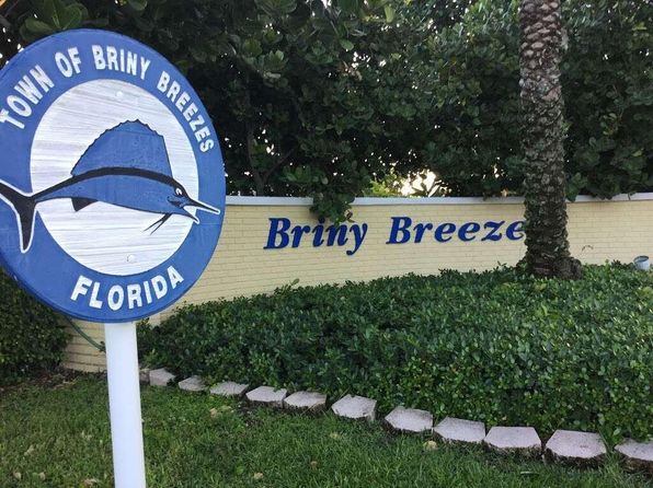204 Palm Drive #I, Briny Breezes, FL 33435