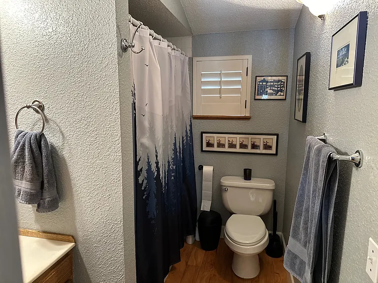 Toilet has a vaccum type flush. Glass door behind bath curtain